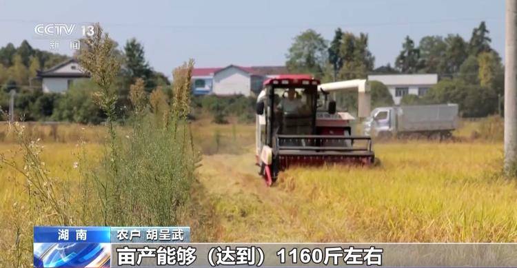 一大批农产品正走向你的餐桌！全国秋粮收获近四成-祁梦博客