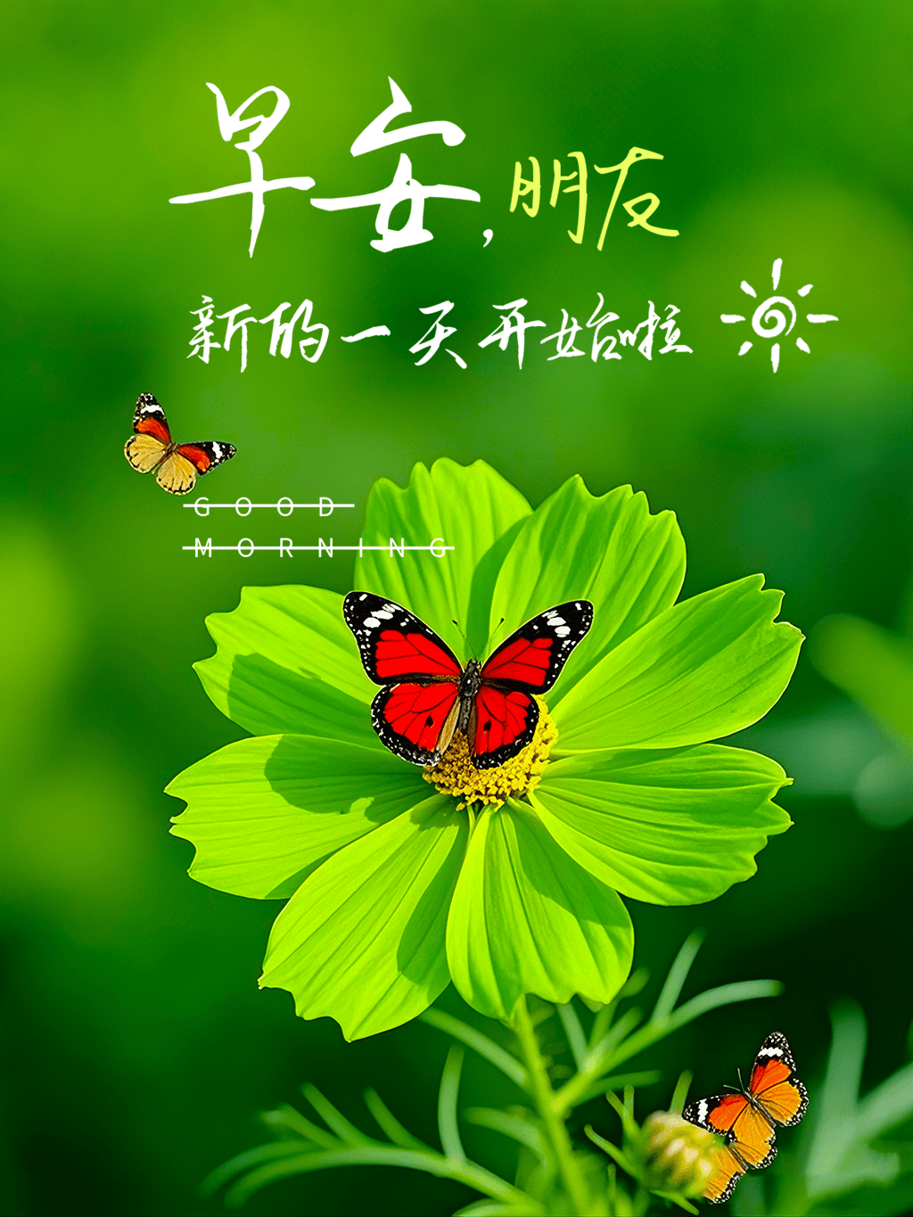 116张今日早上好最新版早上好图片精选 早安祝福图片带字 漂亮祝福