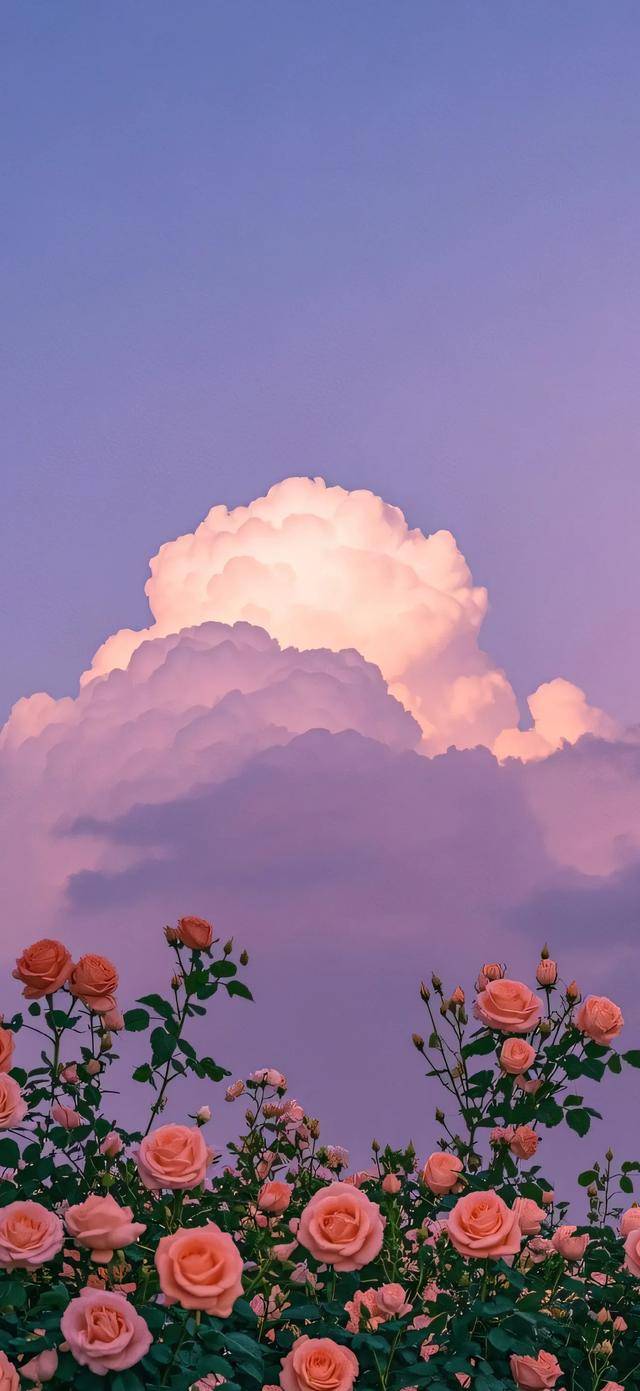 好看的壁纸来啦