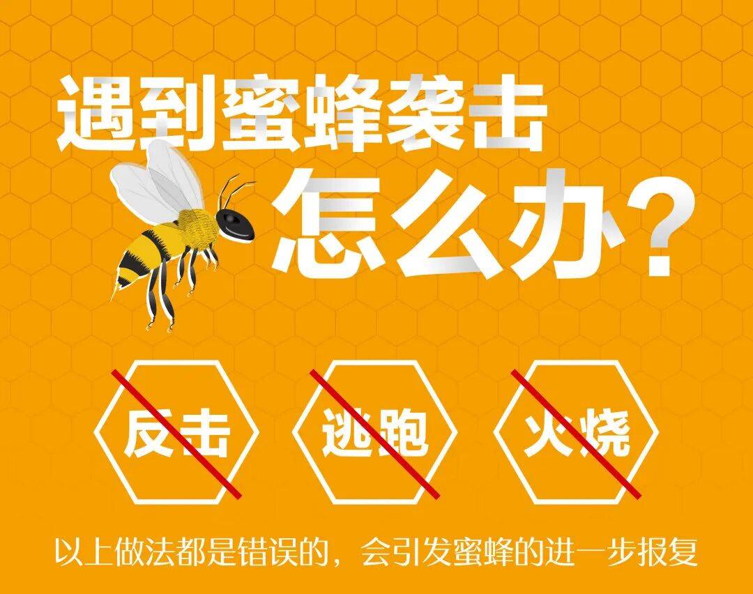 带刺“插班生”悄悄“入学”幼儿园，被师生们连连拒绝