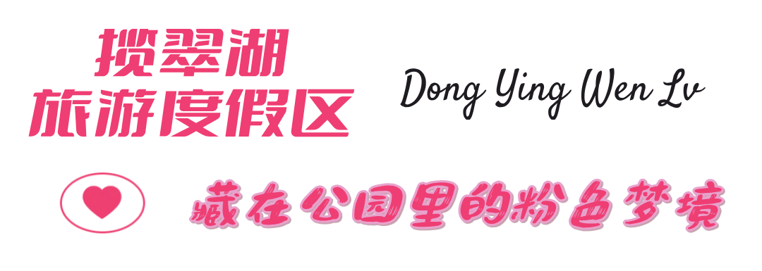 粉色的秋天，来东营正当时！