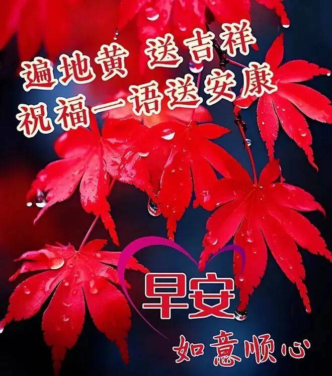 清晨祝福温暖关怀_问候早安的句子_纯朴友情真挚问候
