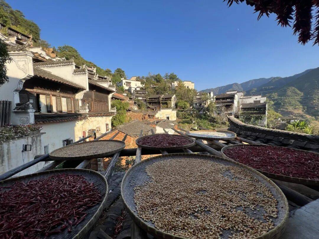 上饶:传统村落为乡村振兴注入深沉而持久的力量