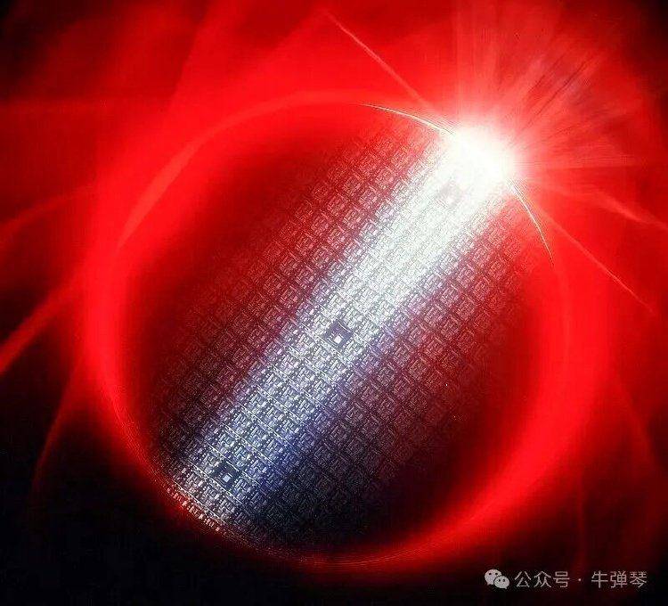 强行接管一家中资旗下子公司，荷兰被骂惨了