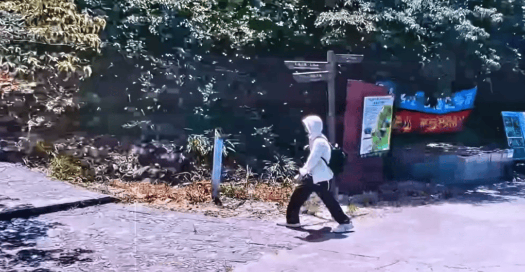 27岁小伙徒步登山失联70余天，已确认遇难；搜救人员：倒下位置离道路只有50米，区域是成熟的徒步路线