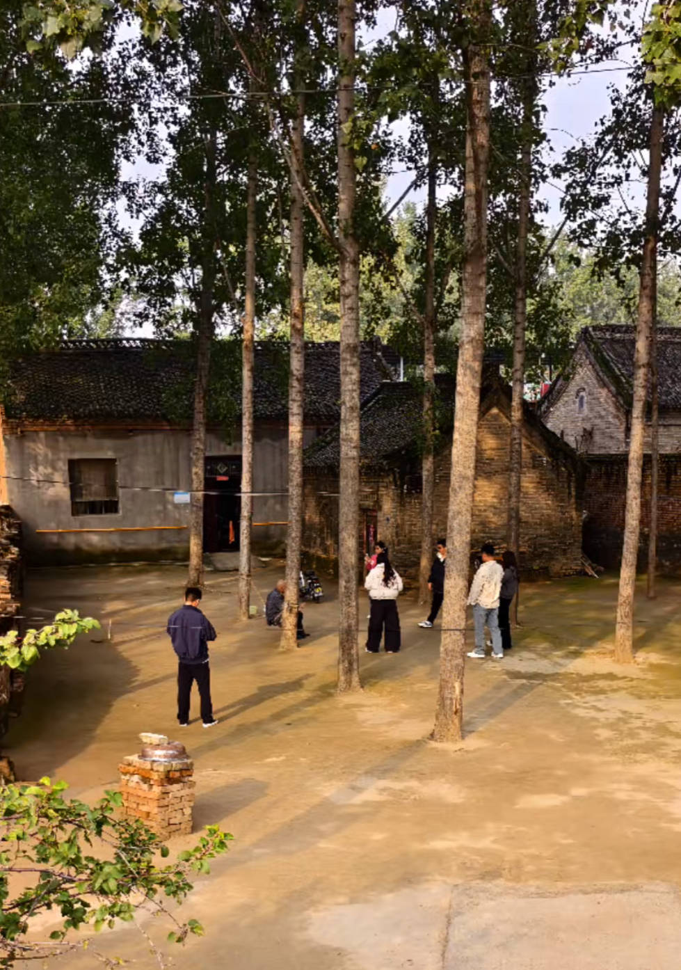 河南一大爷的院子因干净成网红打卡地,网友:像极了小时候家的样子,想拖鞋光脚丫子走 河南一大爷的院子因干净成网红打卡地,网友:像极了小时候家的样子,想拖鞋光脚丫子走