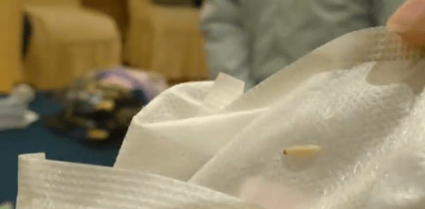 知名品牌苏菲卫生巾被曝现场拆出蠕动活虫：很多