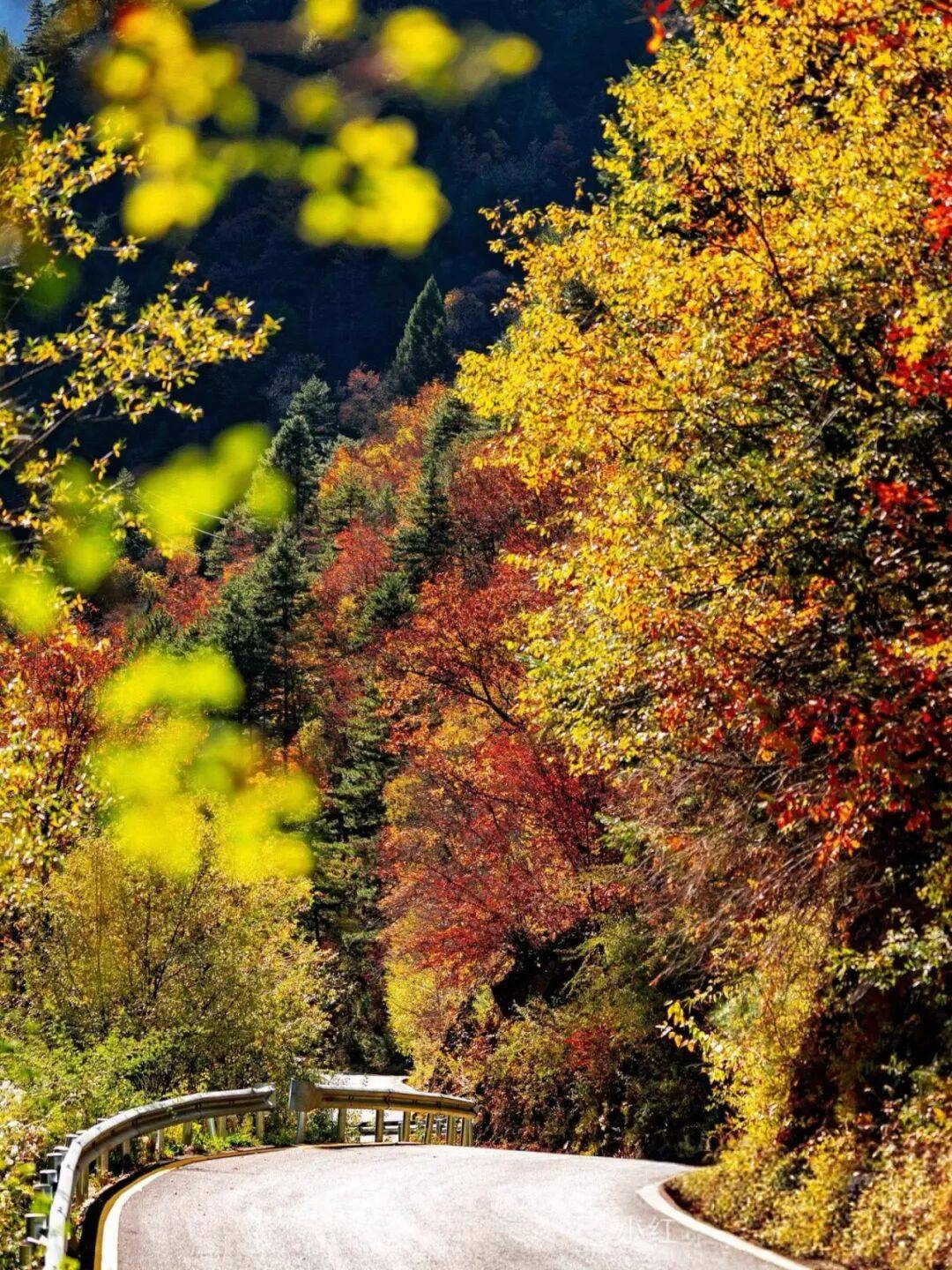 景观最壮观的红叶景区之一,是亚洲最大的八十里天然彩林,享有八十里