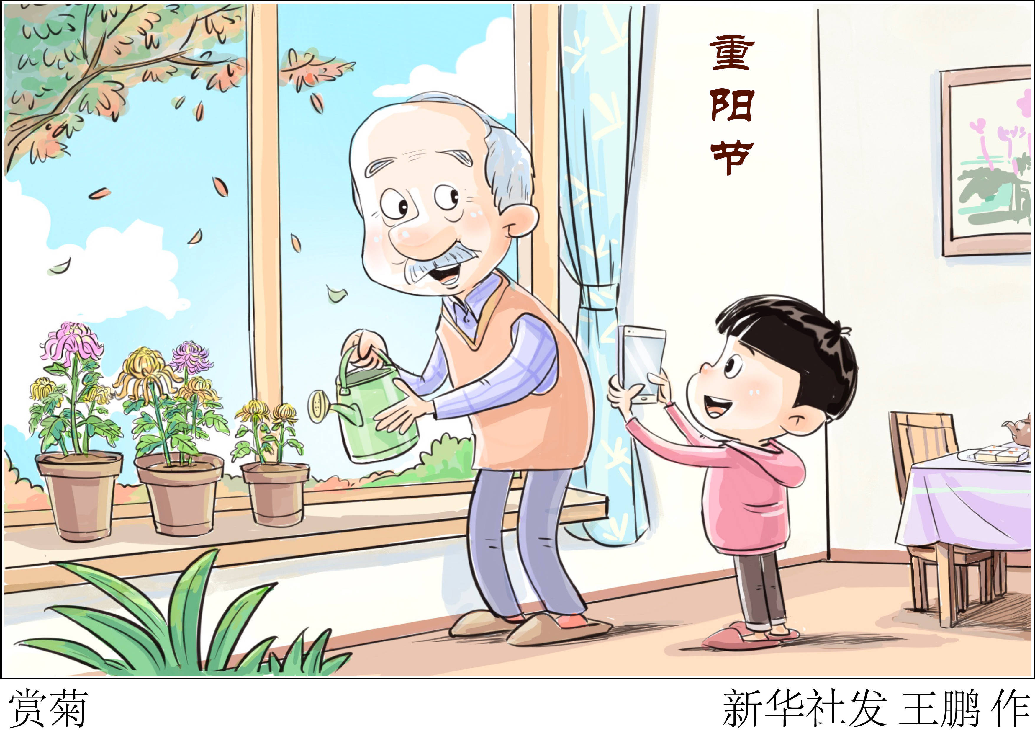 重阳节丨赏菊