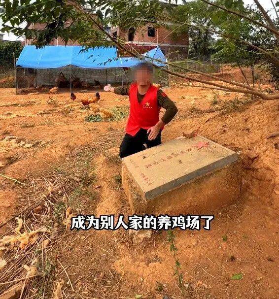 烈士墓地成为养鸡场？当地政府：已经整改完毕