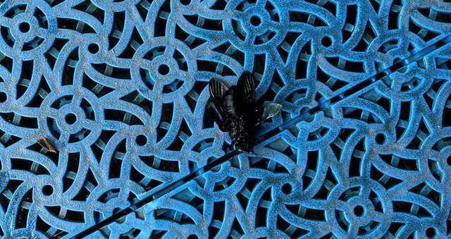 婆孙泳池边被毒虫咬伤，追责维权陷僵局；五星酒店：自然环境中蚊虫不可避免