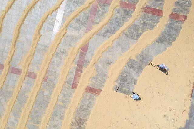 半月谈：一些基层乡镇政府为何“门难进”