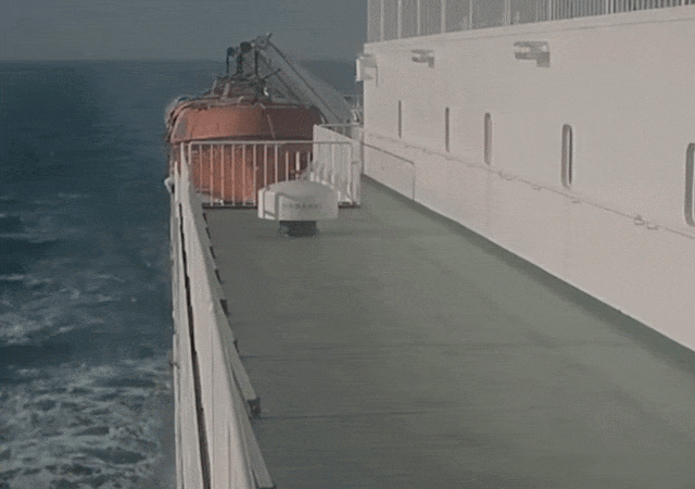 男子推妻入海为骗保,事后还在酒店招嫖,已被依法执行死刑!