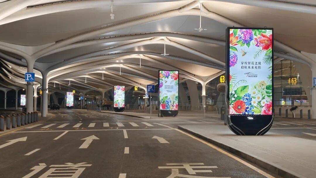 光影织繁花,白云启新程