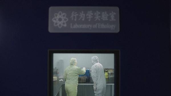 “太空小鼠”出征记