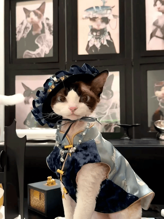 在小众行业偷摸赚钱的年轻人