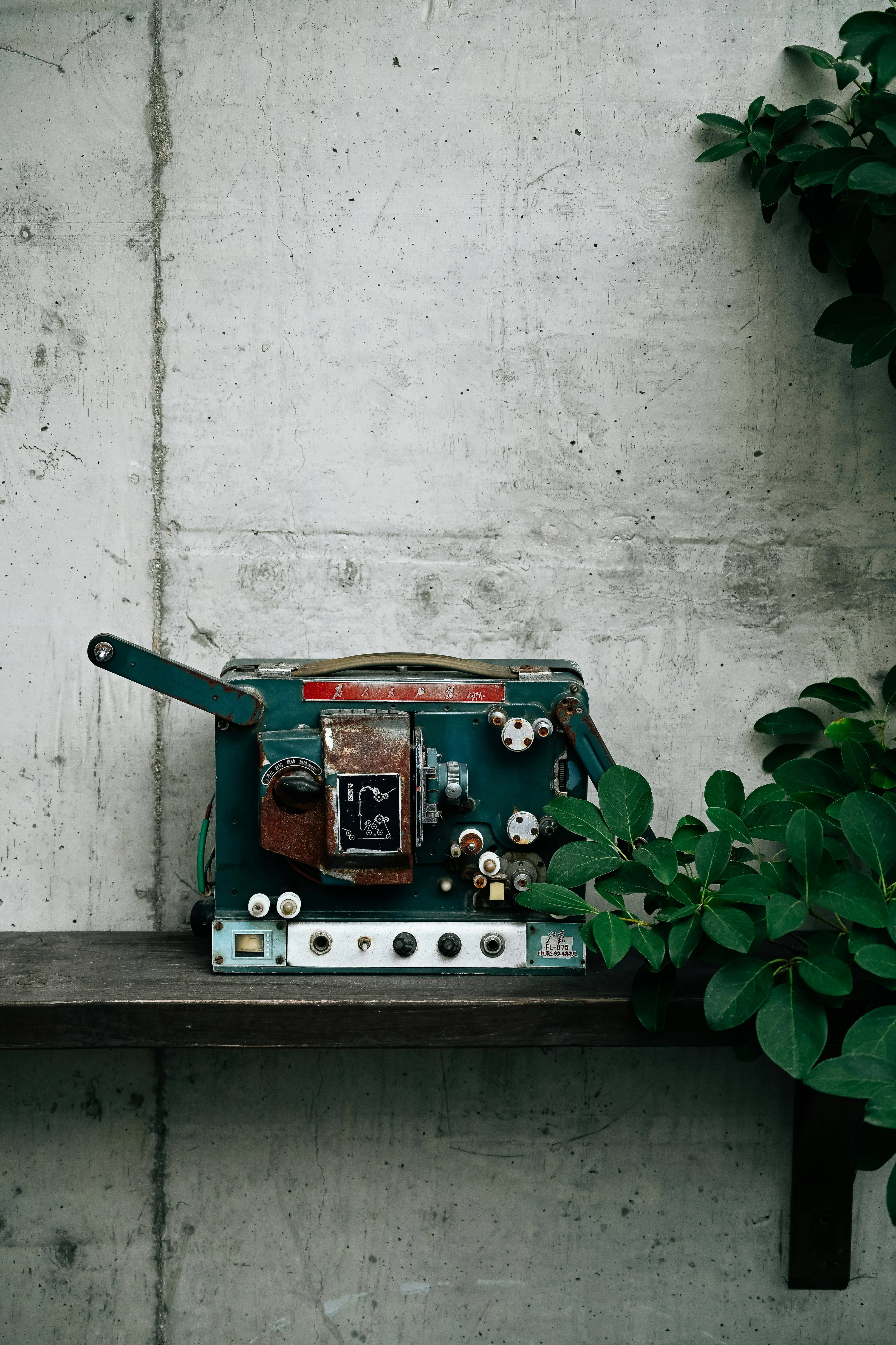 黑色星期五》鼓吹暴力？那些真实发生的事件，远比电影更可怕！_搜狐网