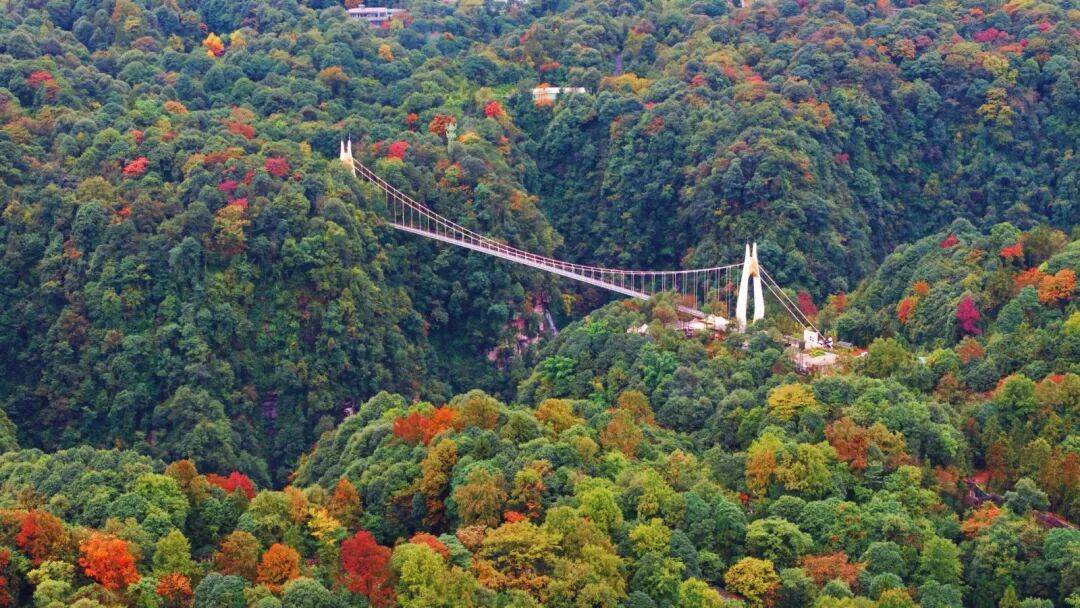 成都自驾2H可达！看熊猫、东北虎徒步领奖牌碧峰峡超全游玩攻略【OKX 哈希游戏】区块链加密游戏玩法教程，新手必看！！