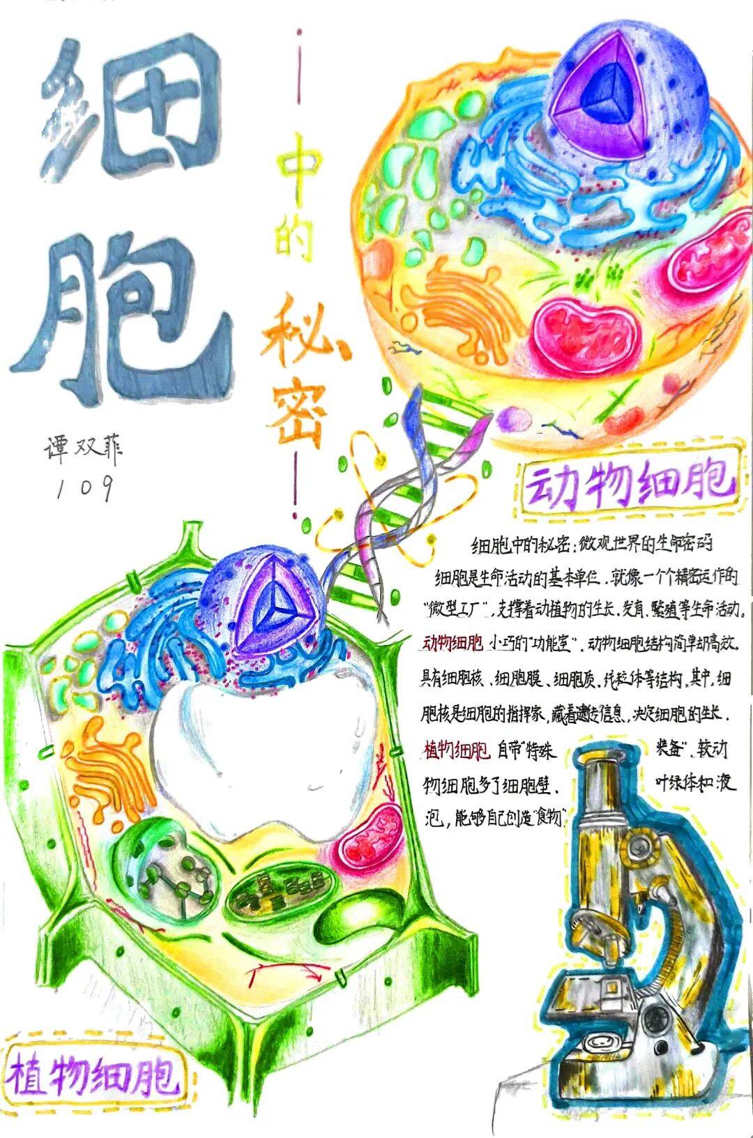 绘生命奥秘 展学科风采