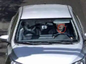 开车时嘴里叼牙线棒被处罚 宜兴交管部门:原认定确有不当,已依法撤销