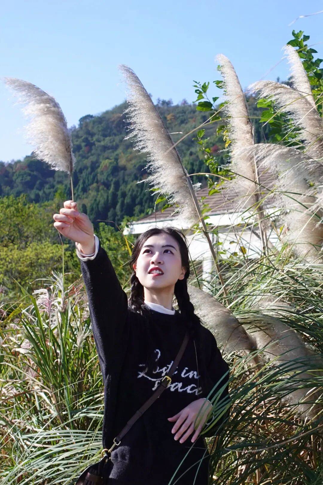 建德毛绒绒的秋天你还不来打卡?