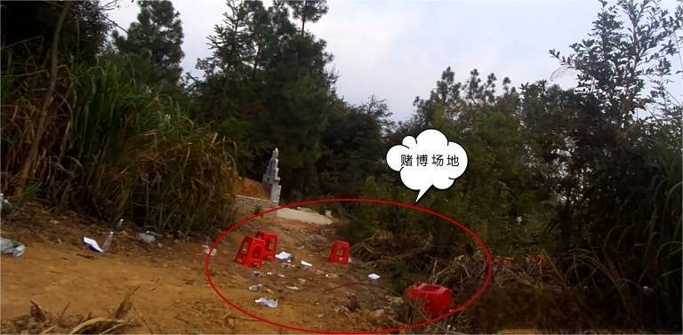 可疑男女频繁出入，竟在墓地干这事！多人当场被抓→