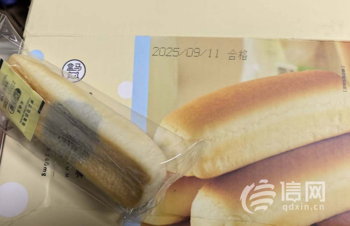 盒马高钙面包棒“高概率”发霉引关注:网友纷纷晒出黑斑照 (图1)