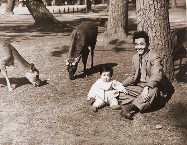 深挖 | 骑摩托、玩摇滚、猜拳赢了让老公跟自己姓……高市早苗,要多野有多野!