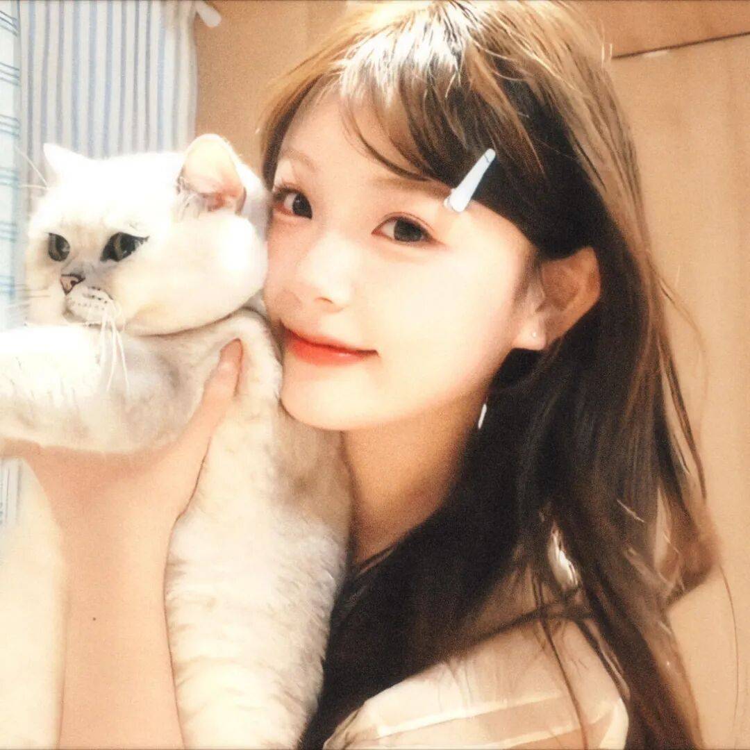 丨 女头像丨气质拉满