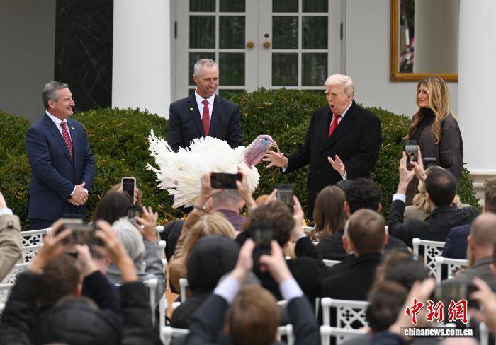 特朗普“赦免”2025年感恩节幸运火鸡-华闻时空