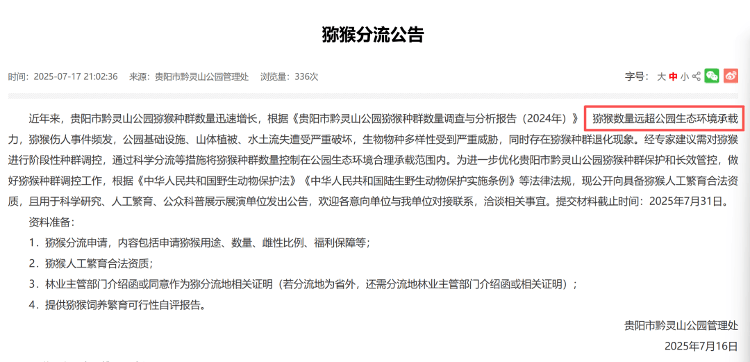 贵阳黔灵山下起“猴子雨”？当地称属猴群正常活动，曾发猕猴分流公告：数量远超承载力