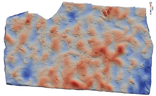 村民用了多年的垫脚石，竟是重要的恐龙化石？