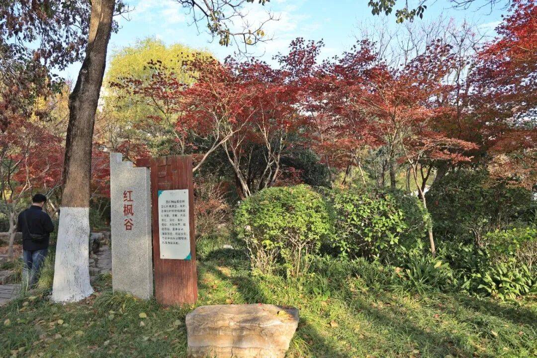 冬韵初显,来徐州市植物园打卡美景吧