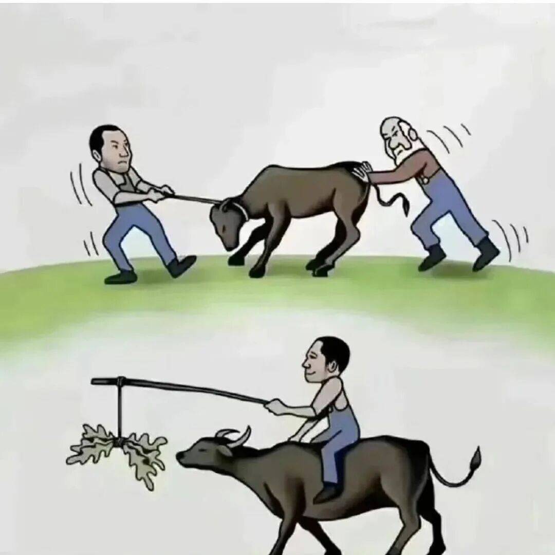 叶炎:生拉硬拽不如一把草_方法_水牛_力气