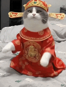 横空出世的“养成系”顶流,怎么唱得越难听大家越溺爱 横空出世的“养成系”顶流,怎么唱得越难听大家越溺爱