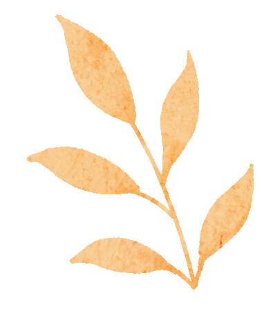 今天暖暖的!但冷空气又发货,大风降温在...... 今天暖暖的!但冷空气又发货,大风降温在......