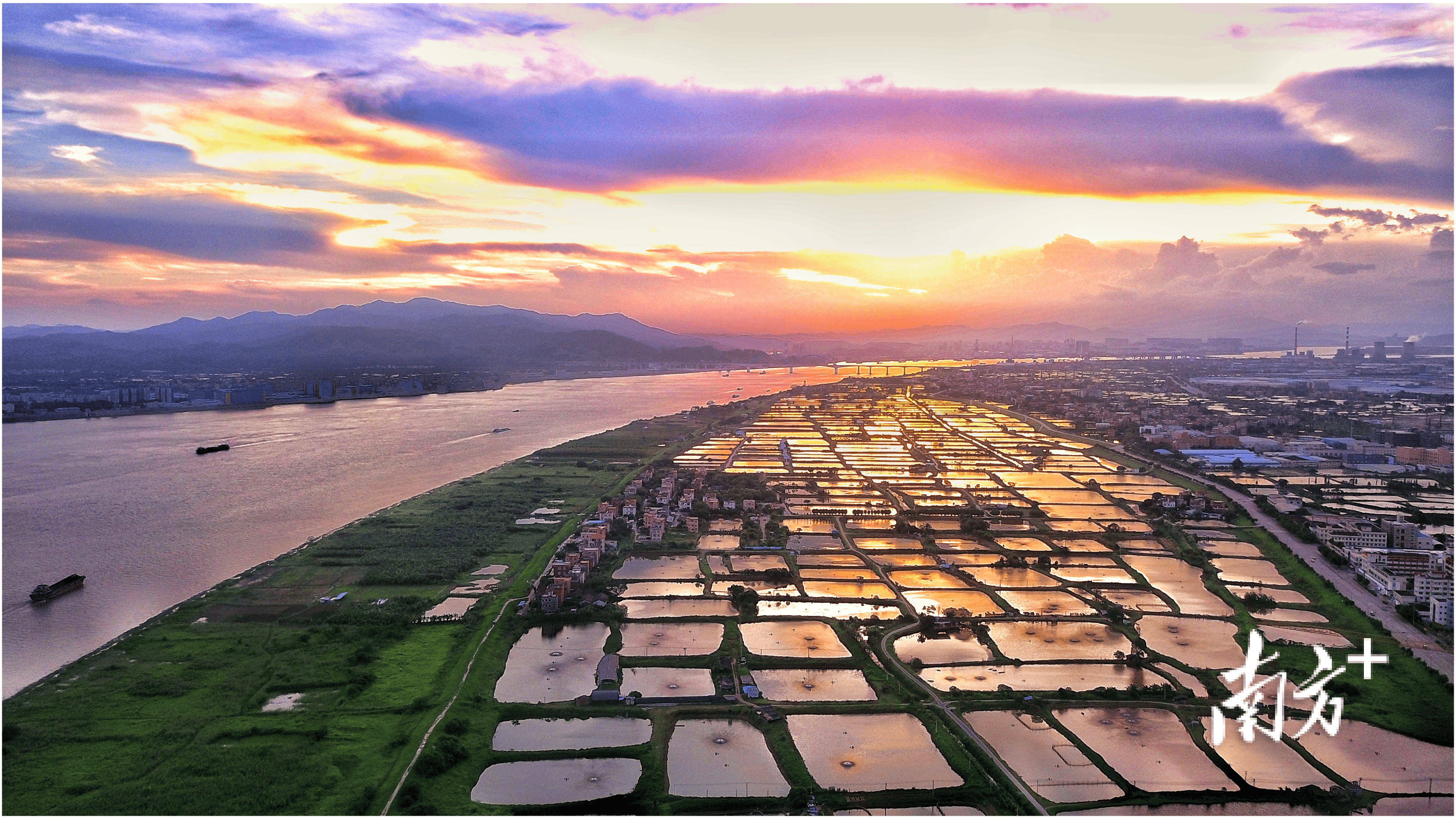 解锁水乡美食暗码九江招牌菜评选正式启动