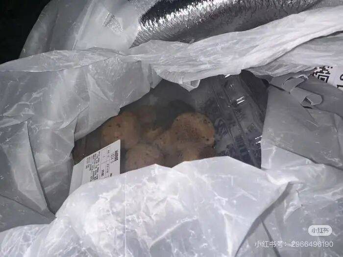 山姆"极速达"麻薯盒内出现活鼠 当事人:打开那一刻人都吓蒙了(图3)