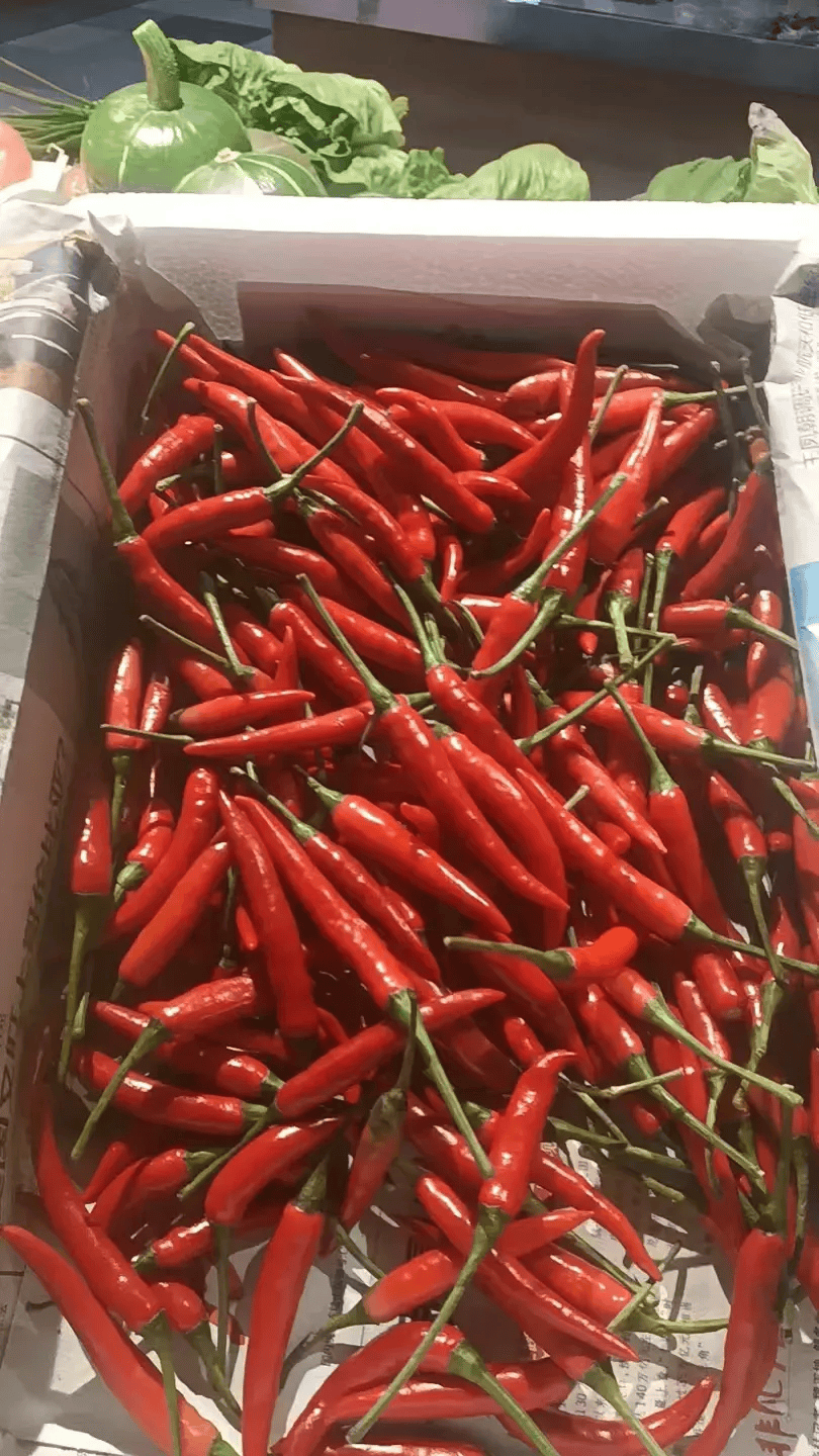 身价暴涨!浙江很多人拿来做下饭菜,老板:顾客说多贵都要买,因为……