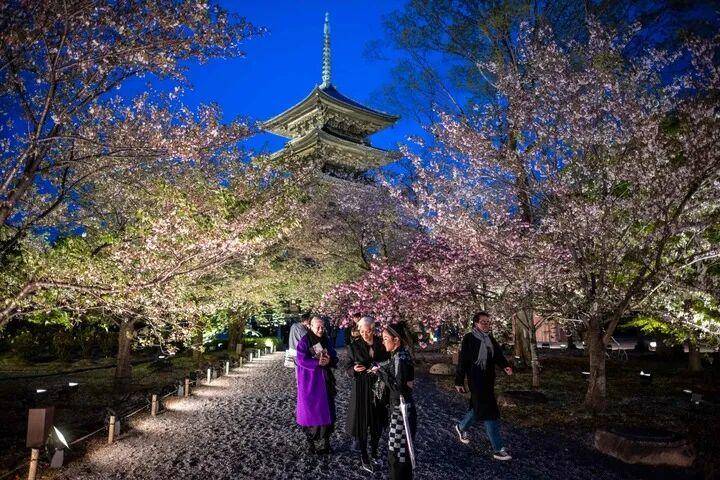 日媒：中国游客数量骤降，重创日本旅游业 -华闻时空