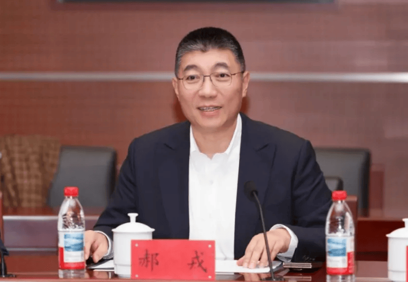 中央戏剧学院院长郝戎，主动投案