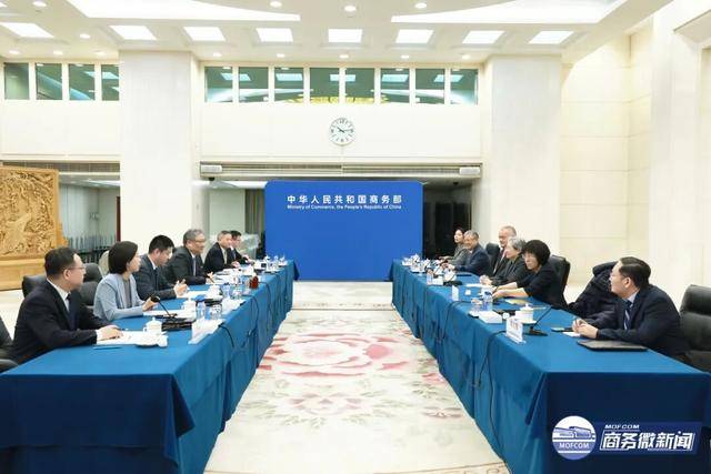 王文涛会见苏姿丰