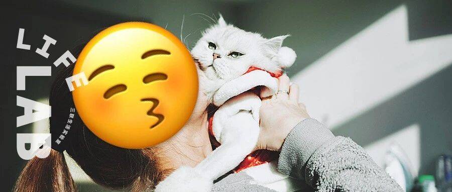 靠拼多多养猫的年轻人,反向“富养”自己_宠物_需求_猫咪