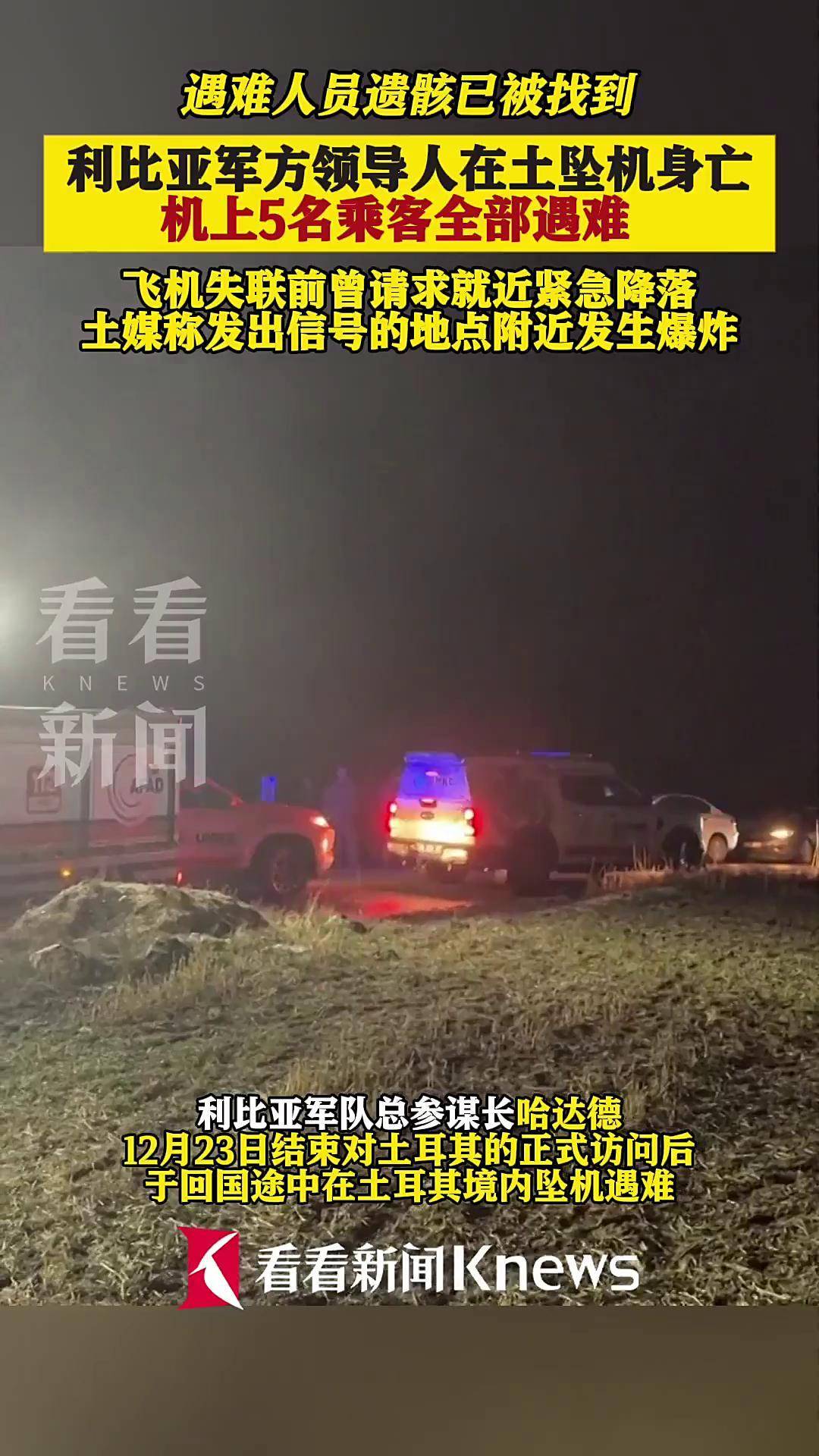机上乘客全部遇难利比亚军方领导人在土坠机身亡
