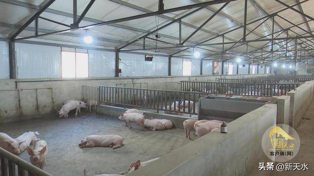 天水市秦州区畜牧兽医工作任事核心主任邵小强告诉记者