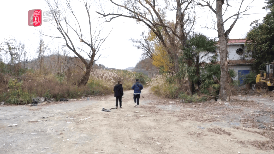 拿下法拍土地却被迫荒废近十年:男子直呼"买个母鸡不下蛋"(图1)