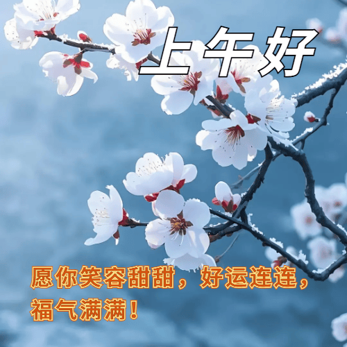 12月26日周五早安！精选早上好图片祝福美图：每天有祝福，数九不寒~_养生_励志_问候