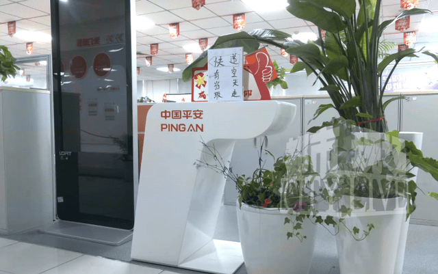 一年20万保费买百万平安人寿保险 &qu