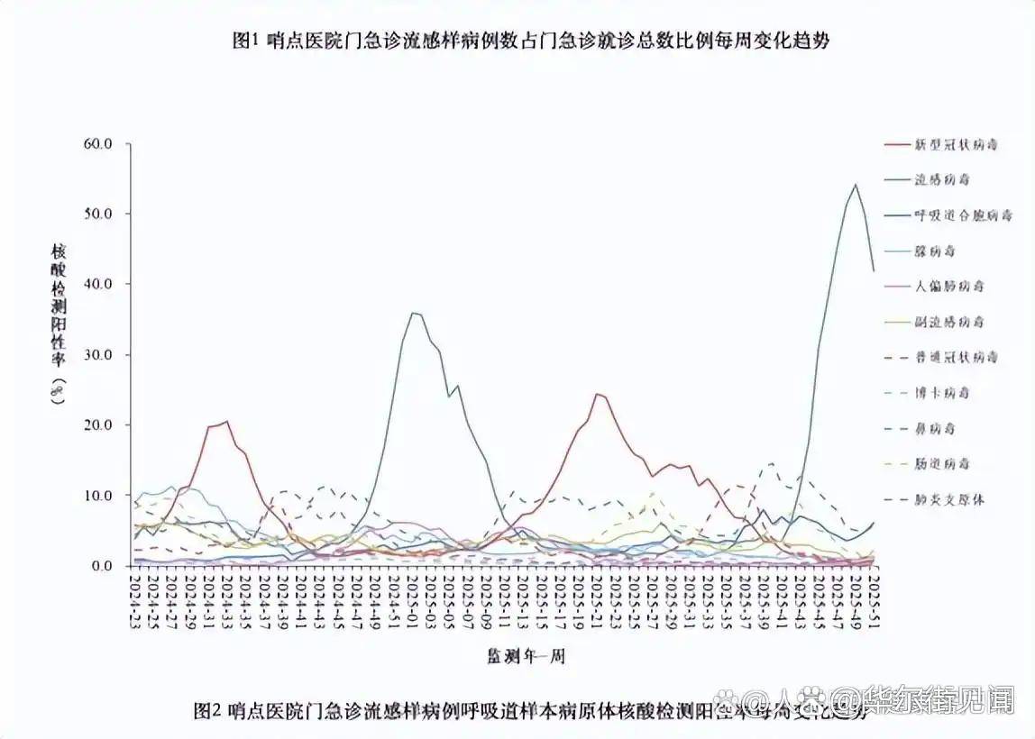  疫情最新国内数据图片大全(疫情最新数据动态图国内外)