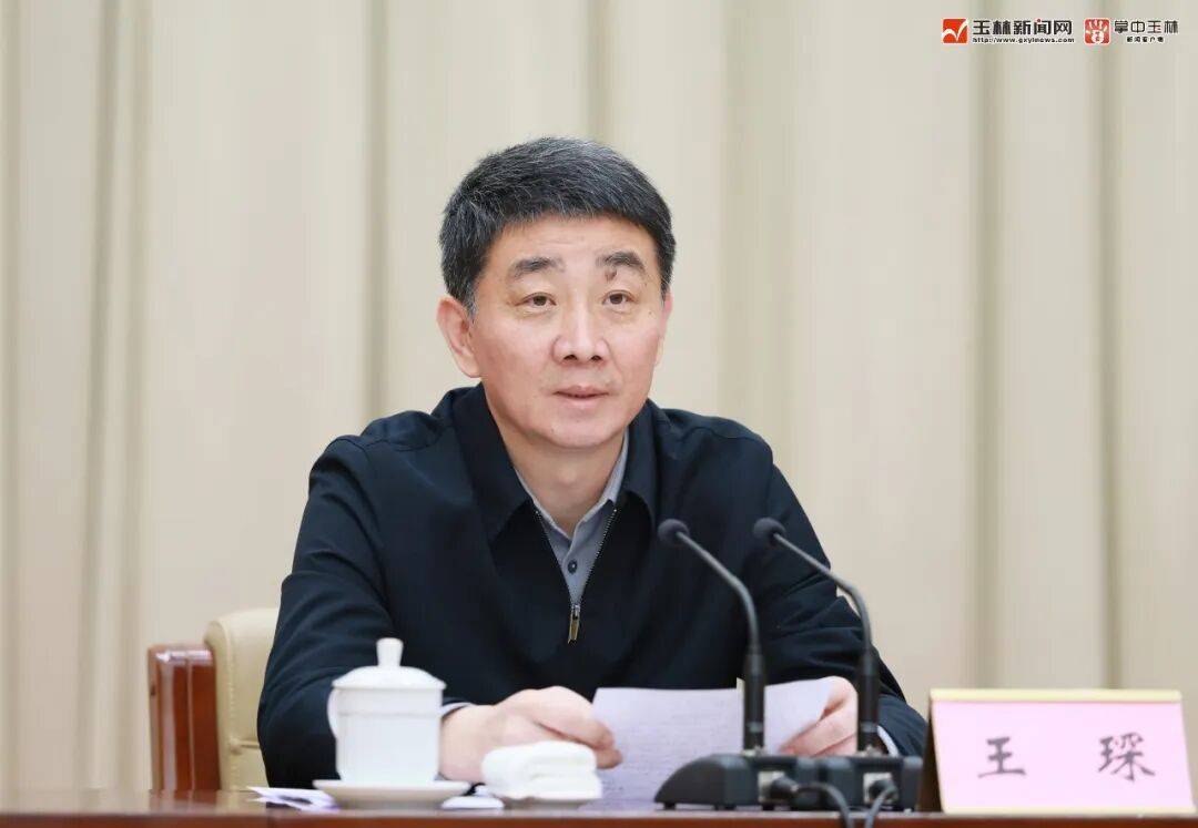 王琛出席玉林市深化干部纪律作风大会并讲话_表率_会议_建设